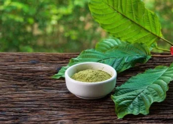 Inovasi Kratom Berbasis Nanoteknologi: Masa Depan Ekspor Kalimantan Barat
