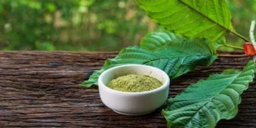 Inovasi Kratom Berbasis Nanoteknologi: Masa Depan Ekspor Kalimantan Barat