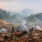 Gambaran krisis lingkungan global akibat deforestasi dan perubahan ekosistem alami