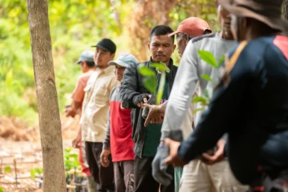 Kegiatan pemulihan ekosistem Kalbar melalui penanaman bibit pohon oleh masyarakat dan ASRI