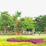 Komunikasi pariwisata digital membentuk persepsi wisatawan terhadap destinasi modern