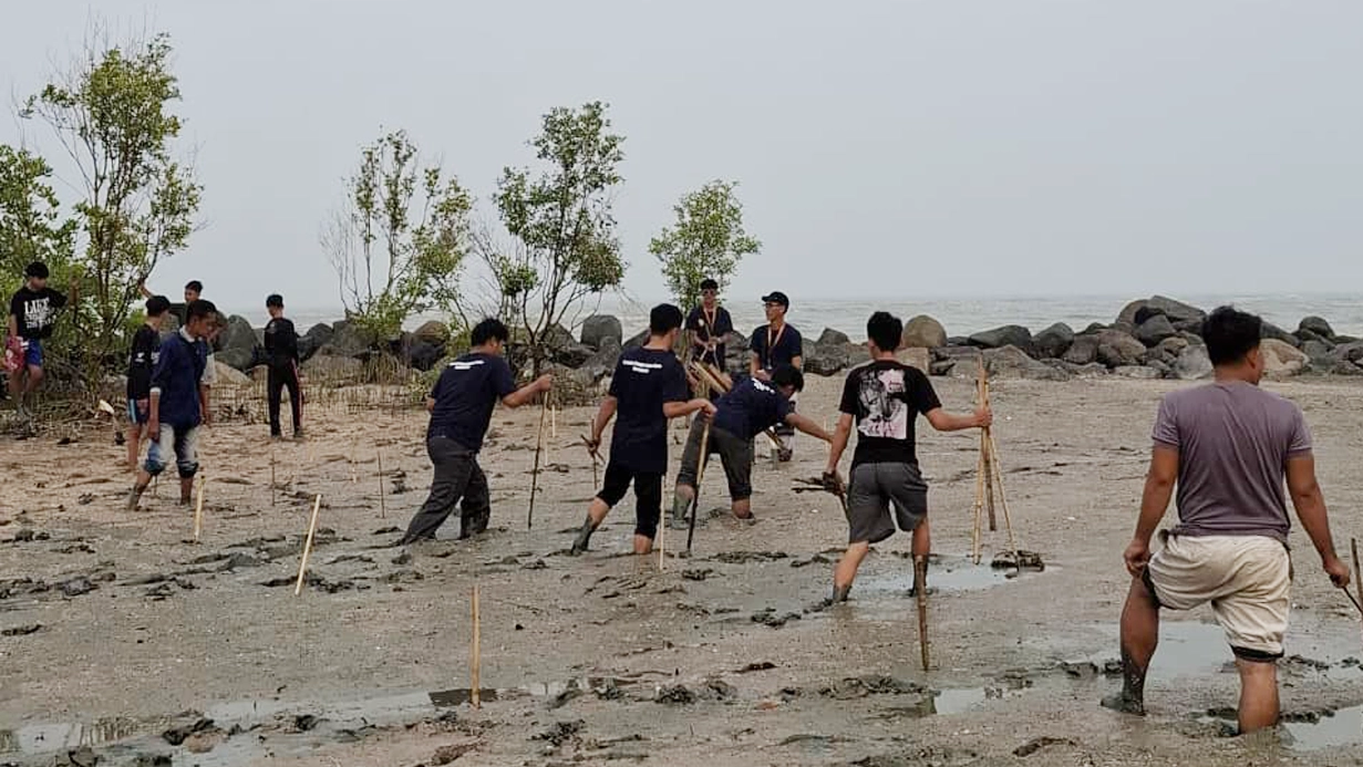 Penanaman mangrove 3