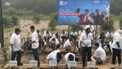 Penanaman mangrove bersama Widodo di kawasan Sungai Kupah Kubu Raya